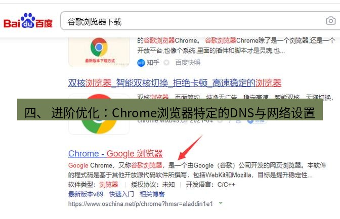 谷歌浏览器下载 四、 进阶优化：Chrome浏览器特定的DNS与网络设置