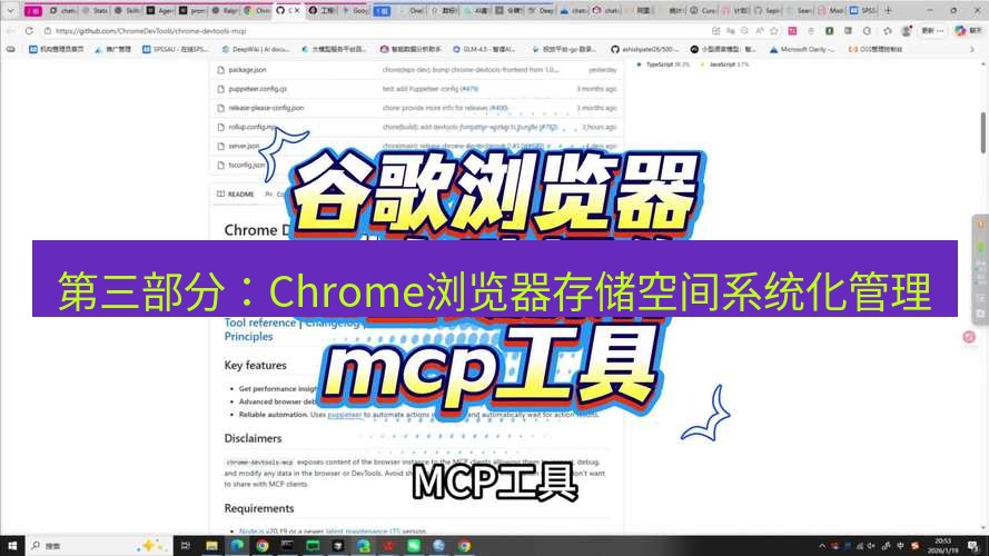 谷歌浏览器下载 第三部分：Chrome浏览器存储空间系统化管理
