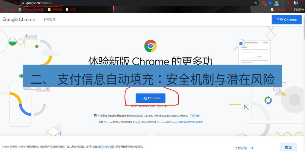 谷歌浏览器下载 二、 支付信息自动填充：安全机制与潜在风险