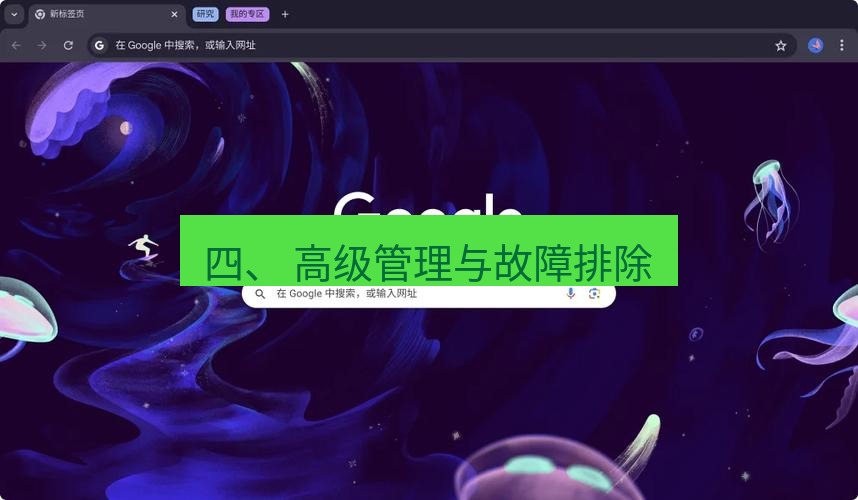 谷歌浏览器下载 四、 高级管理与故障排除