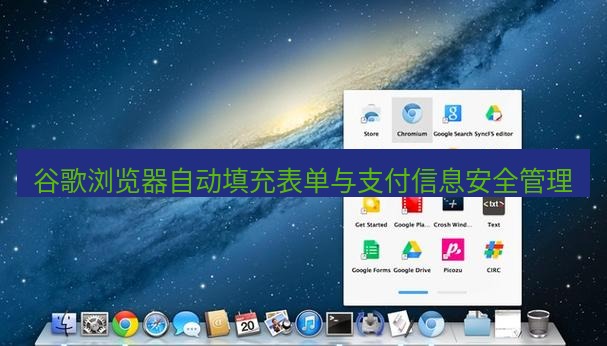 谷歌浏览器下载 谷歌浏览器自动填充表单与支付信息安全管理