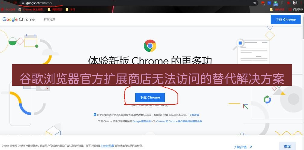 谷歌浏览器下载 谷歌浏览器官方扩展商店无法访问的替代解决方案