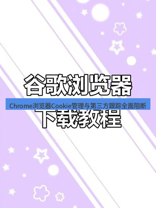 谷歌浏览器下载 Chrome浏览器Cookie管理与第三方跟踪全面阻断