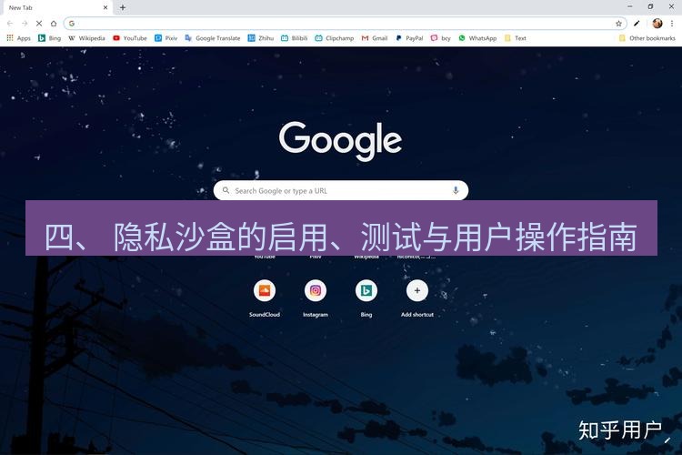 谷歌浏览器下载 四、 隐私沙盒的启用、测试与用户操作指南