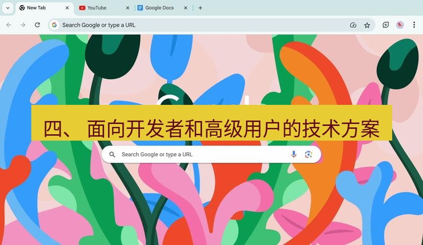 谷歌浏览器下载 四、 面向开发者和高级用户的技术方案