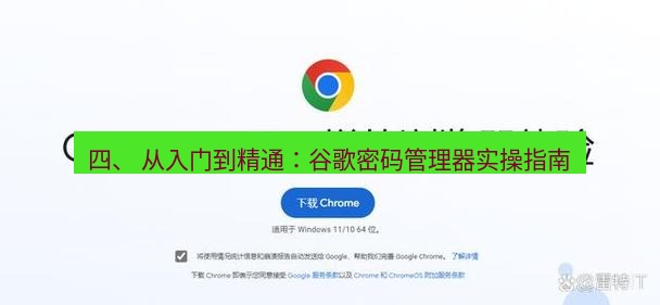 谷歌浏览器下载 四、 从入门到精通：谷歌密码管理器实操指南