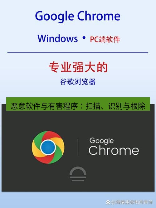 谷歌浏览器下载 恶意软件与有害程序：扫描、识别与根除