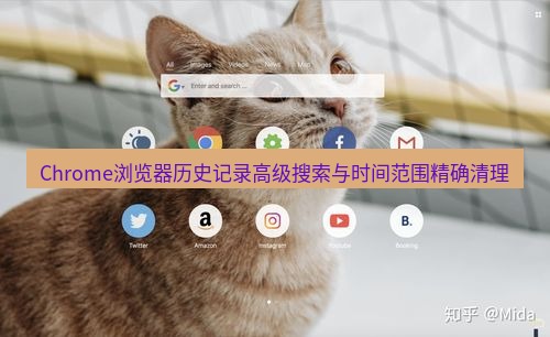 谷歌浏览器下载 Chrome浏览器历史记录高级搜索与时间范围精确清理