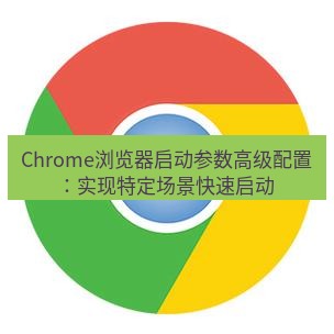 谷歌浏览器下载 Chrome浏览器启动参数高级配置：实现特定场景快速启动