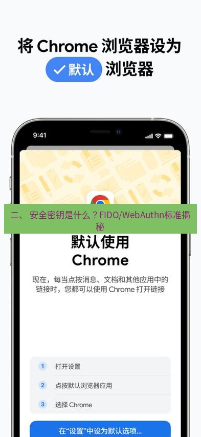 谷歌浏览器下载 二、 安全密钥是什么？FIDO/WebAuthn标准揭秘