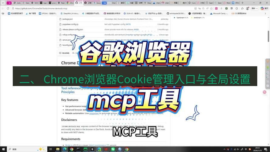 谷歌浏览器下载 二、 Chrome浏览器Cookie管理入口与全局设置