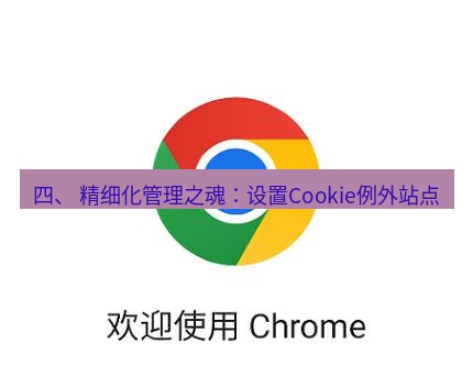 谷歌浏览器下载 四、 精细化管理之魂：设置Cookie例外站点