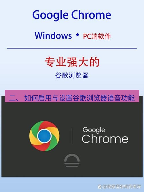 谷歌浏览器下载 二、 如何启用与设置谷歌浏览器语音功能