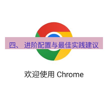 谷歌浏览器下载 四、 进阶配置与最佳实践建议