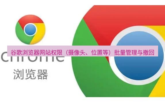 谷歌浏览器下载 谷歌浏览器网站权限（摄像头、位置等）批量管理与撤回