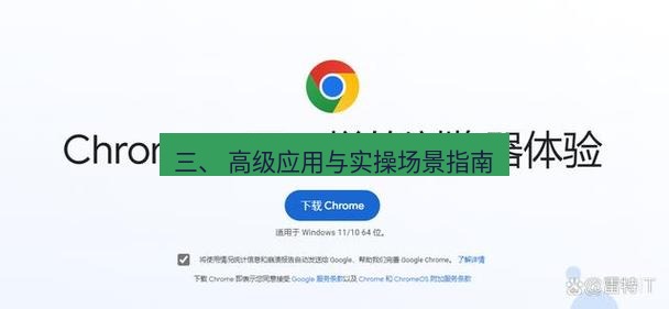 谷歌浏览器下载 三、 高级应用与实操场景指南