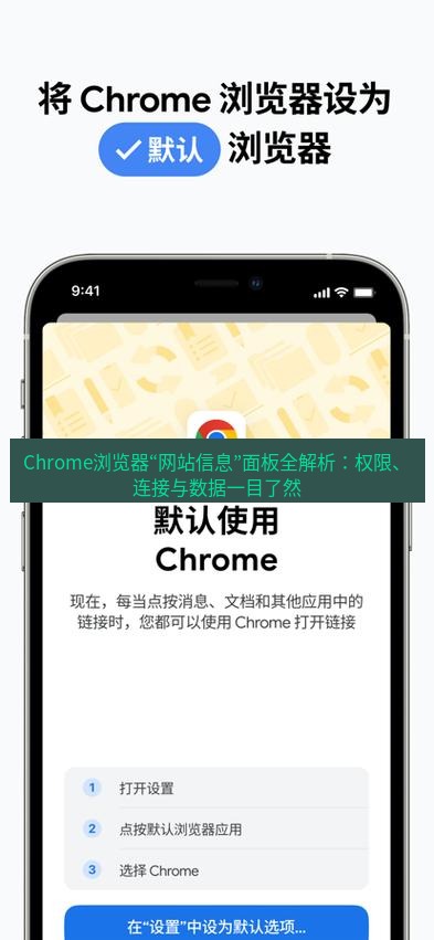 谷歌浏览器下载 Chrome浏览器“网站信息”面板全解析：权限、连接与数据一目了然