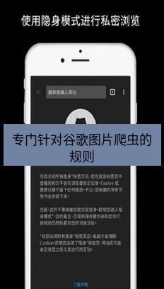 谷歌浏览器下载 专门针对谷歌图片爬虫的规则