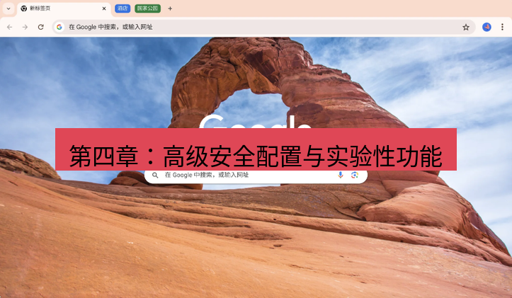 谷歌浏览器下载 第四章：高级安全配置与实验性功能